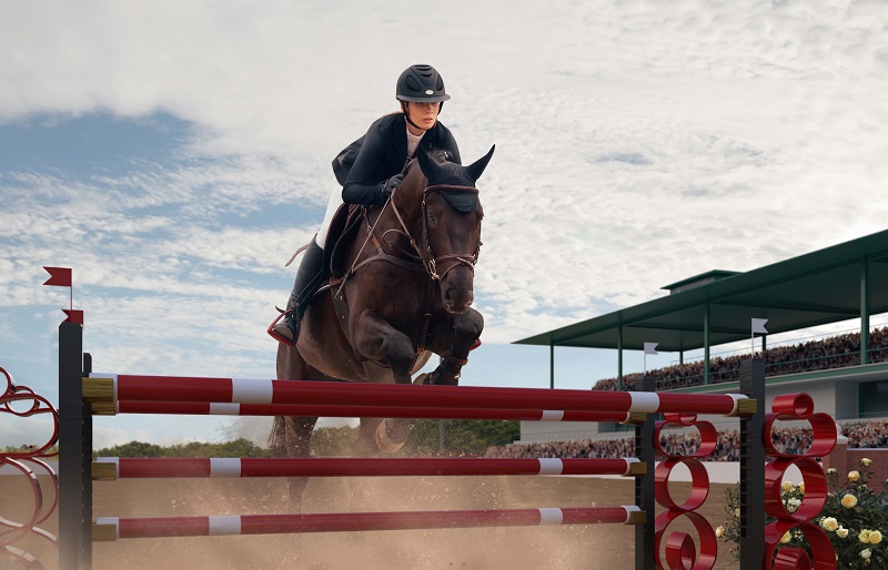 How to Keep Your Horse Motivated and Engaged in Jump Training